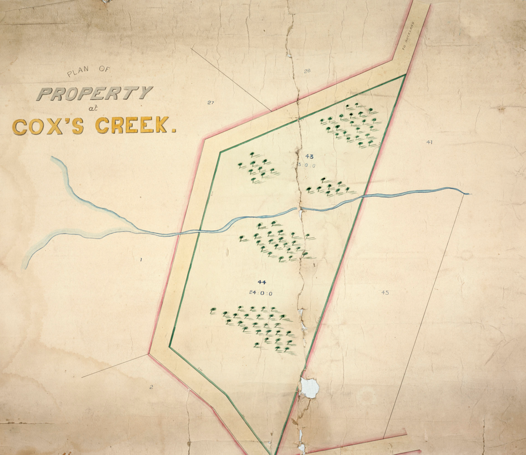 Allotments at Cox's Creek, Westmere, 1869.
