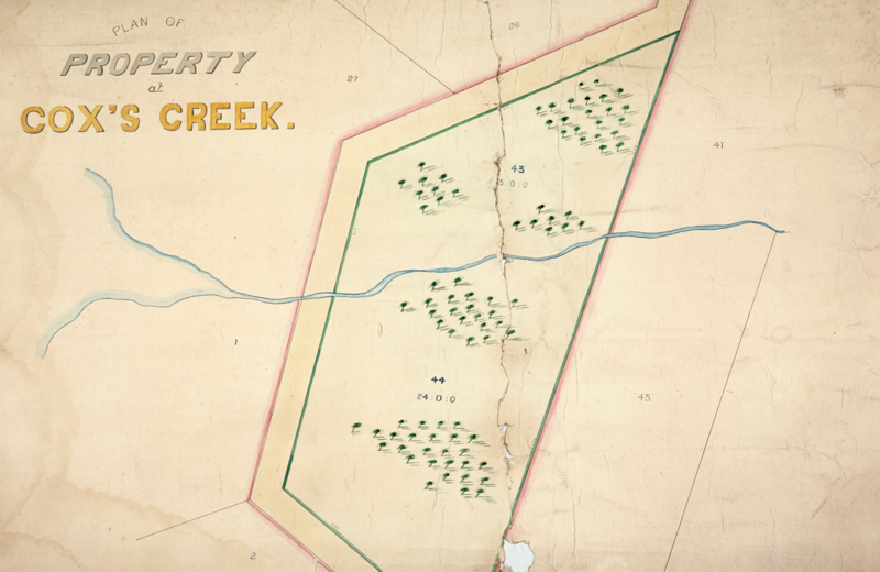 Allotments at Cox's Creek, Westmere, 1869.