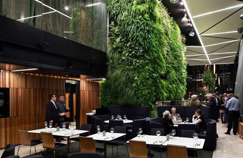 60m2 green wall in the bar of the Novotel at Auckland Airport.